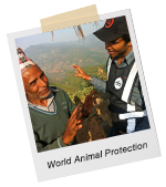 >World Animal Protection